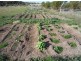 - Corner Lovell & Dunolly Road, Emu VIC 3475