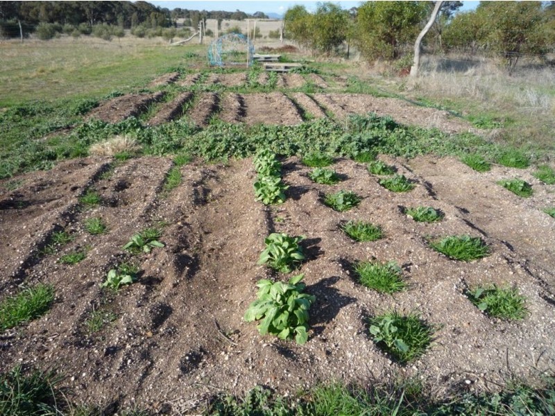 - Corner Lovell & Dunolly Road, Emu VIC 3475