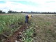 - Corner Lovell & Dunolly Road, Emu VIC 3475