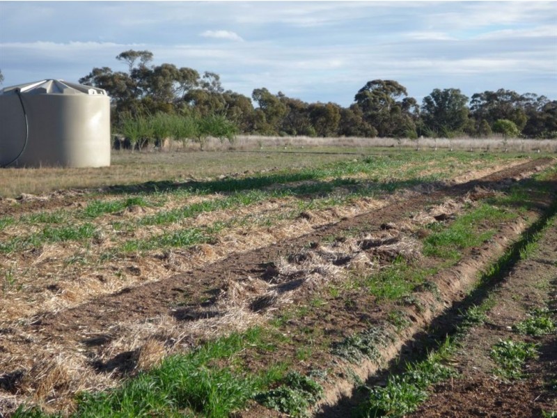 - Corner Lovell & Dunolly Road, Emu VIC 3475
