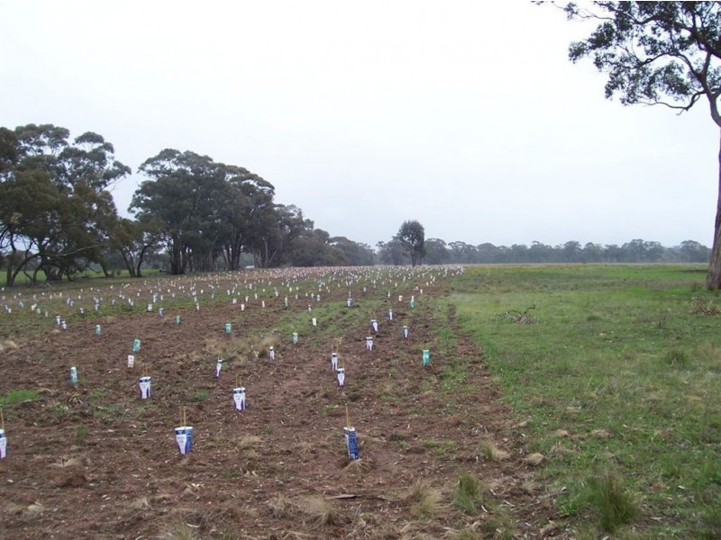 - Corner Lovell & Dunolly Road, Emu VIC 3475