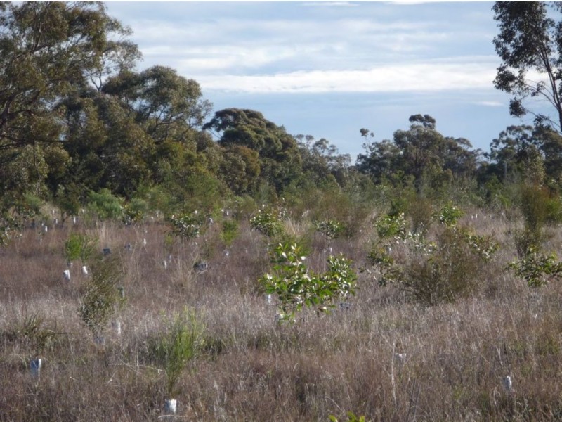 - Corner Lovell & Dunolly Road, Emu VIC 3475