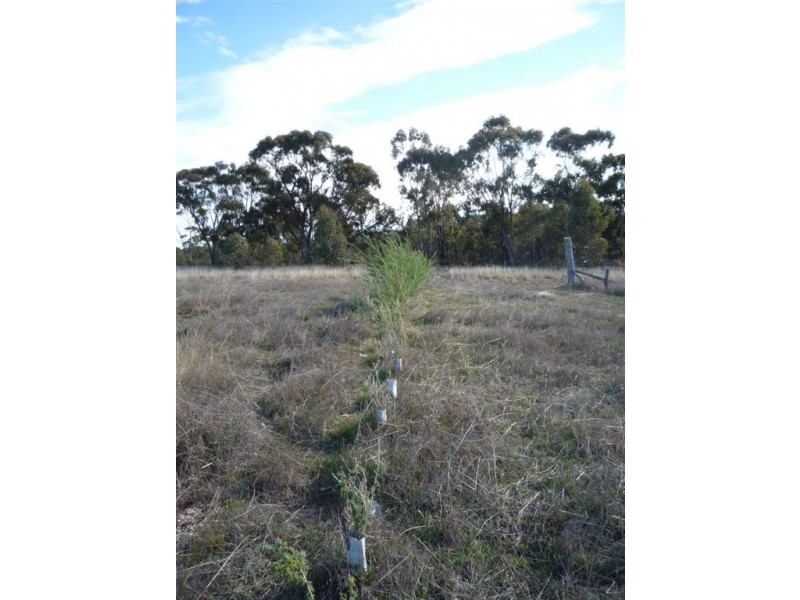 - Corner Lovell & Dunolly Road, Emu VIC 3475