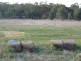 - Corner Lovell & Dunolly Road, Emu VIC 3475