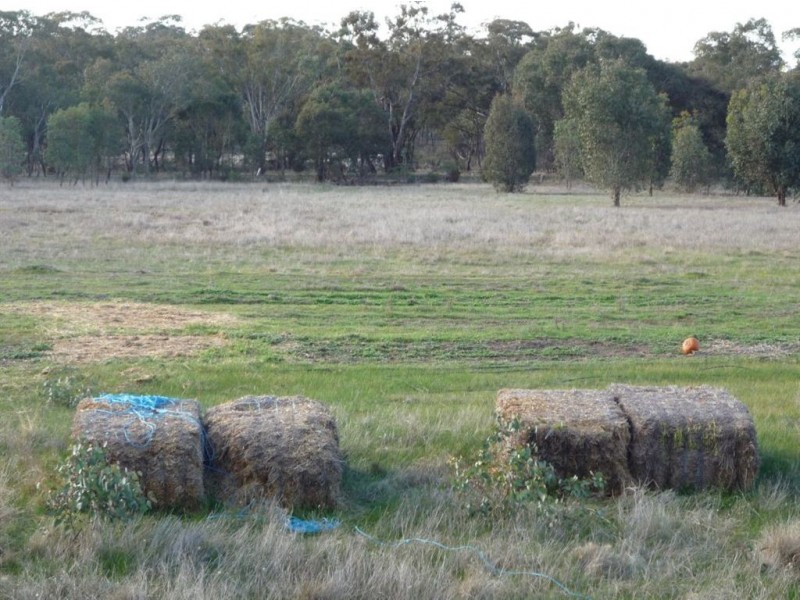 - Corner Lovell & Dunolly Road, Emu VIC 3475