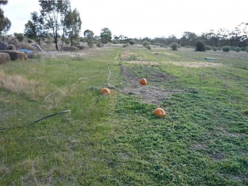 - Corner Lovell & Dunolly Road, Emu VIC 3475