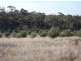 - Corner Lovell & Dunolly Road, Emu VIC 3475