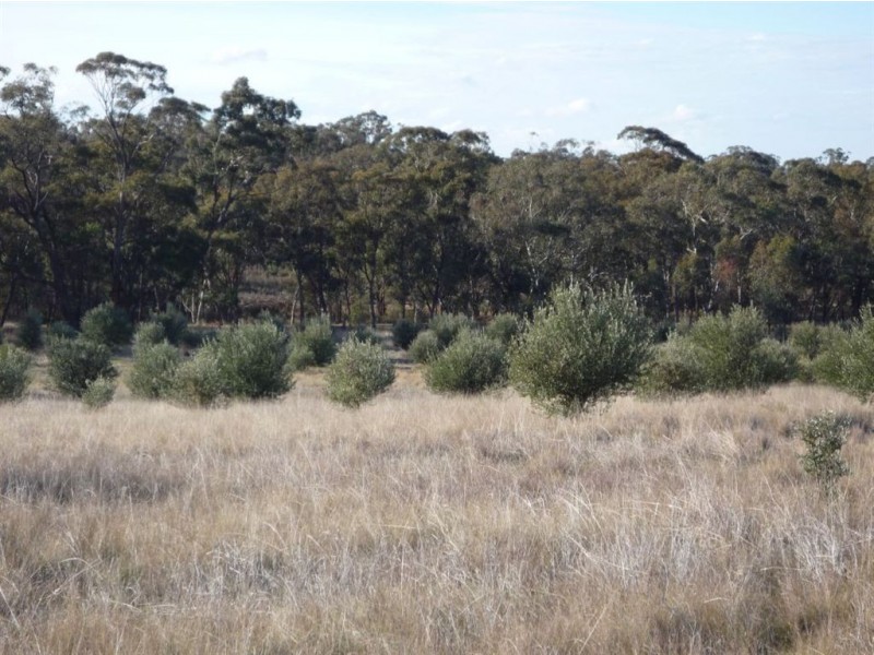 - Corner Lovell & Dunolly Road, Emu VIC 3475