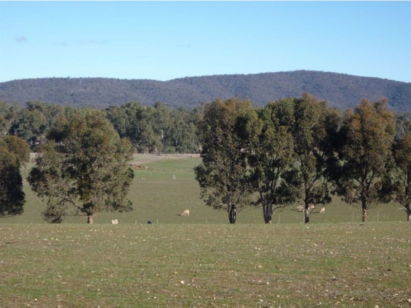 - Sunraysia Highway, Moyreisk VIC 3467