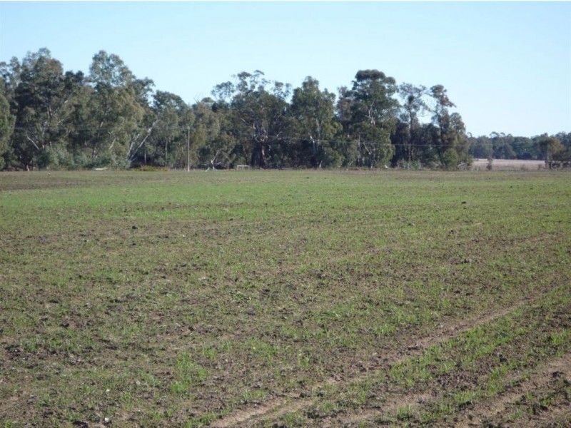 - Sunraysia Highway, Moyreisk VIC 3467