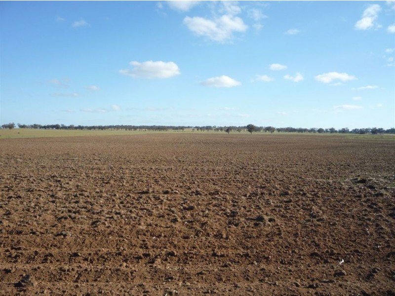 - Crown Allot 73 & 75B, Sec C, Parish Kooreh, Logan VIC 3475