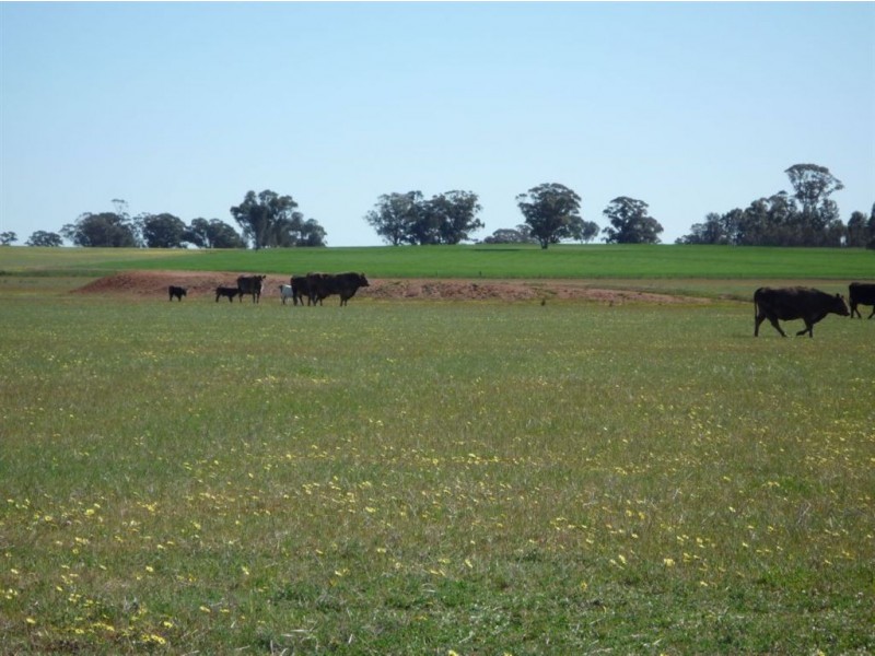 - Crown Allot 73 & 75B, Sec C, Parish Kooreh, Logan VIC 3475