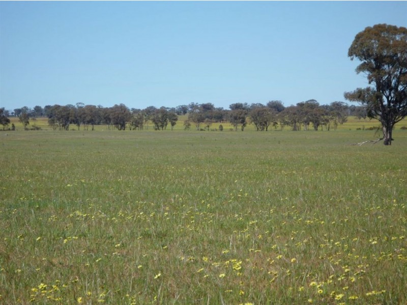 - Crown Allot 73 & 75B, Sec C, Parish Kooreh, Logan VIC 3475
