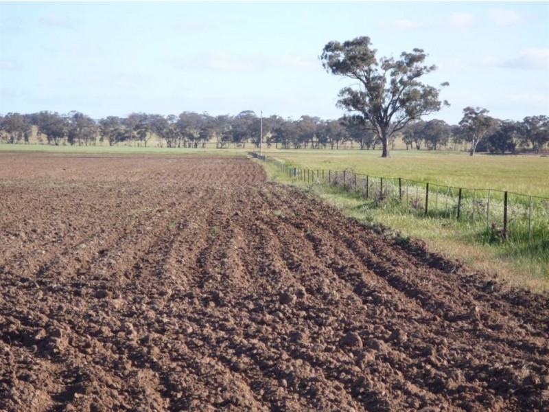 - Crown Allot 73 & 75B, Sec C, Parish Kooreh, Logan VIC 3475