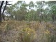 - Crown Allotment 82 St Arnaud Wycheproof Road, St Arnaud VIC 3478