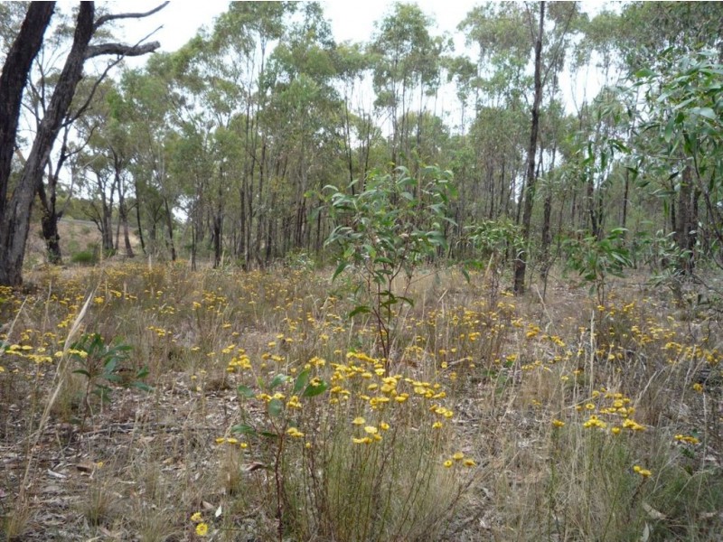 - Crown Allotment 82 St Arnaud Wycheproof Road, St Arnaud VIC 3478