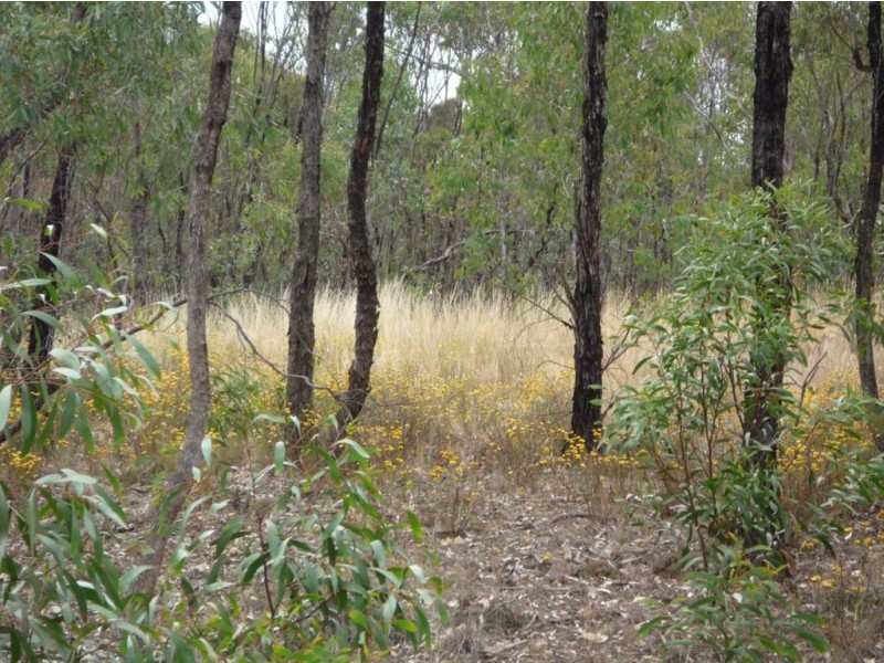 - Crown Allotment 82 St Arnaud Wycheproof Road, St Arnaud VIC 3478