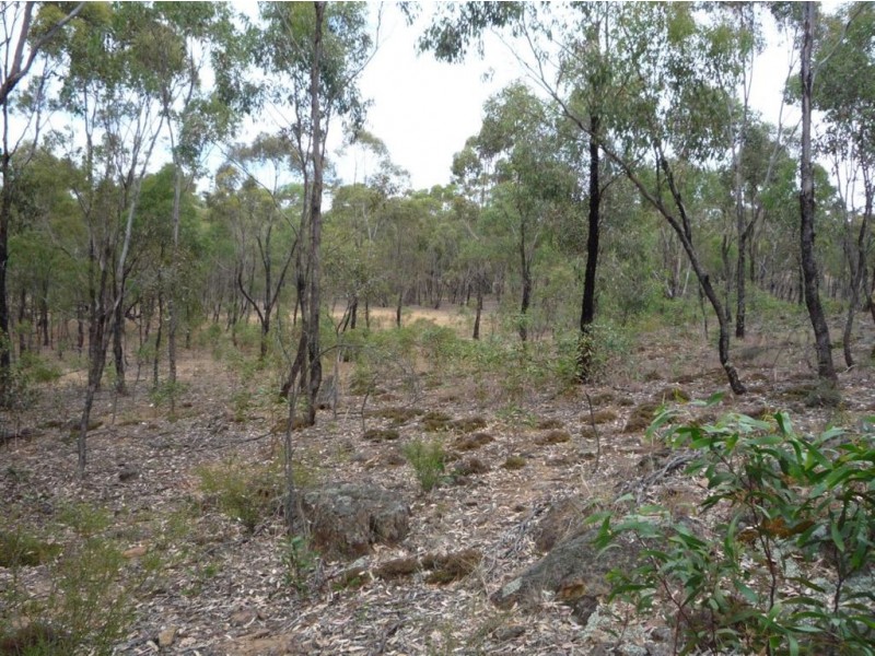 - Crown Allotment 82 St Arnaud Wycheproof Road, St Arnaud VIC 3478