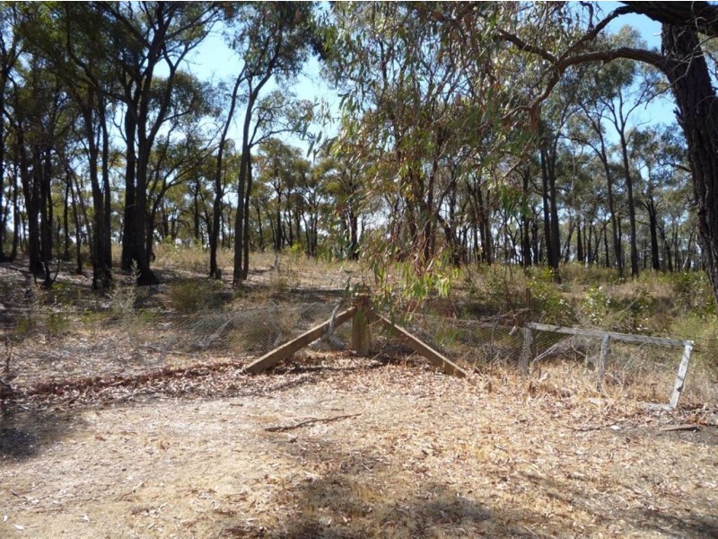 1C Millett Street, St Arnaud VIC 3478