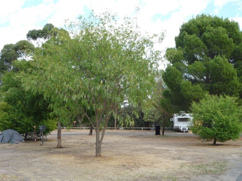 Off Dundas Street, St Arnaud VIC 3478