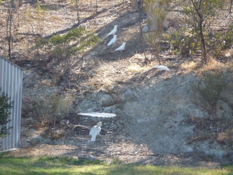 Off Dundas Street, St Arnaud VIC 3478