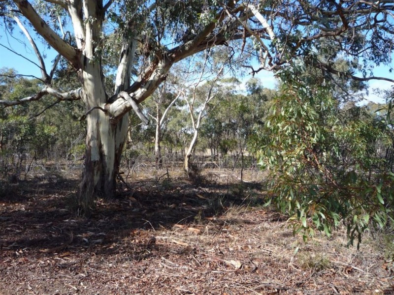 - Edwards Road, St Arnaud East VIC 3478