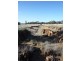 0 Wardle Road, St Arnaud VIC 3478