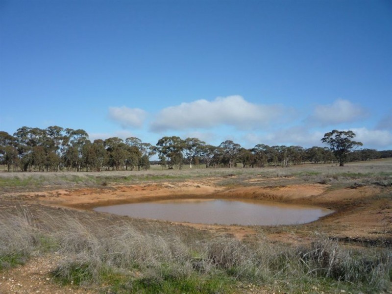 0 Wardle Road, St Arnaud VIC 3478