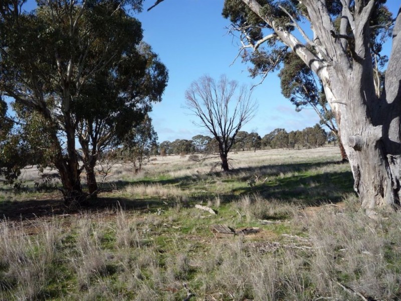 0 Wardle Road, St Arnaud VIC 3478