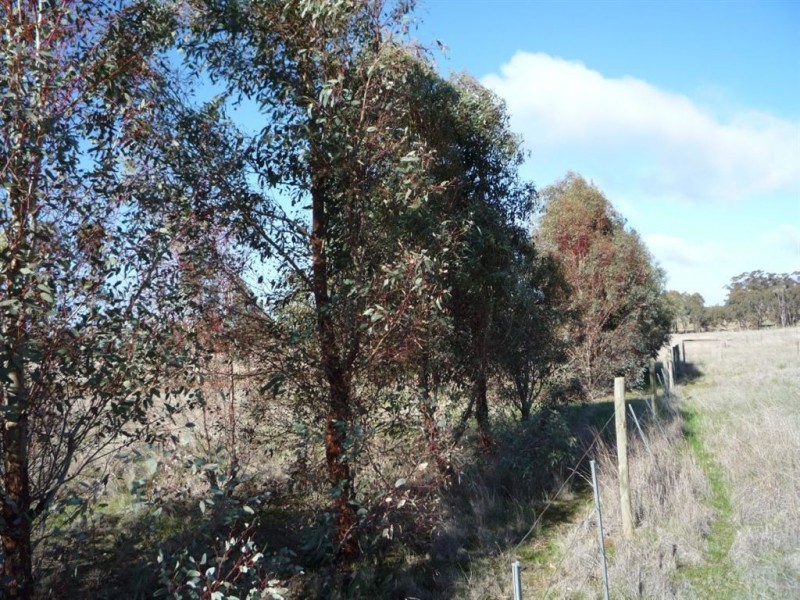0 Wardle Road, St Arnaud VIC 3478