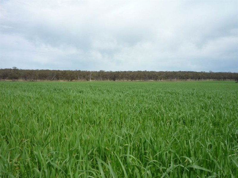 0 Tottington Road, Beazleys Bridge, St Arnaud VIC 3478