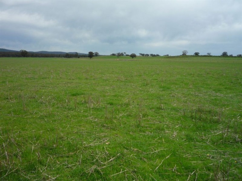 0 Tottington Road, Beazleys Bridge, St Arnaud VIC 3478