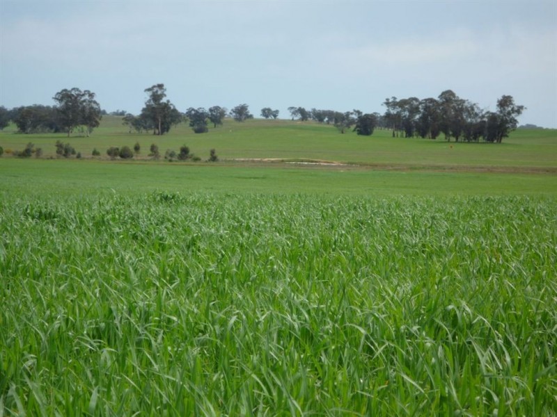 0 Tottington Road, Beazleys Bridge, St Arnaud VIC 3478