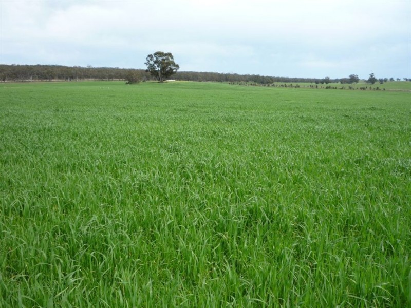 0 Tottington Road, Beazleys Bridge, St Arnaud VIC 3478