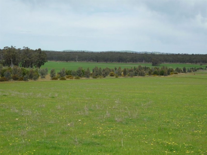 0 Tottington Road, Beazleys Bridge, St Arnaud VIC 3478