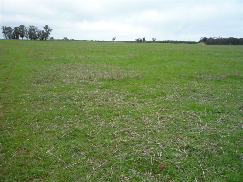 0 Tottington Road, Beazleys Bridge, St Arnaud VIC 3478