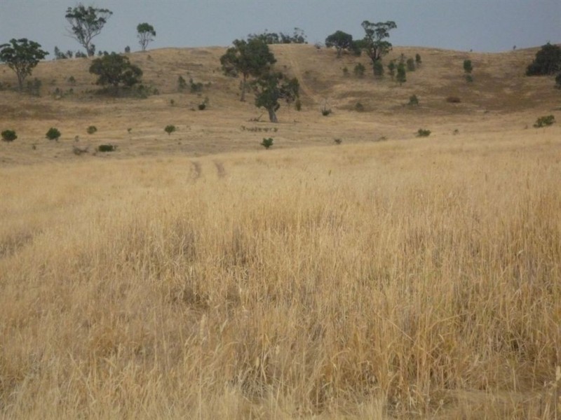 - Rostron/Stuart Mill Road, Stuart Mill VIC 3478