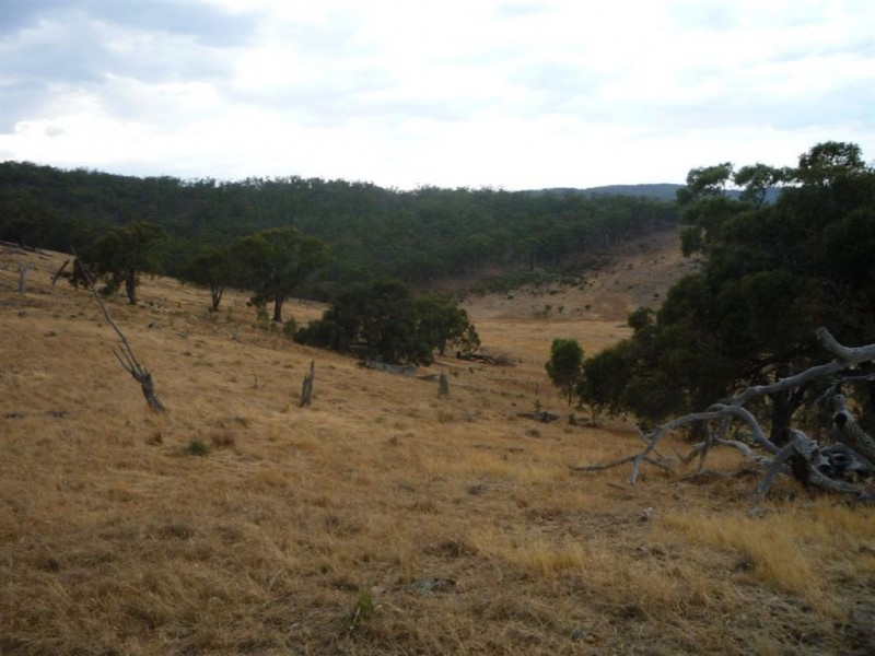 - Rostron/Stuart Mill Road, Stuart Mill VIC 3478