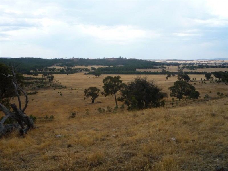 - Rostron/Stuart Mill Road, Stuart Mill VIC 3478