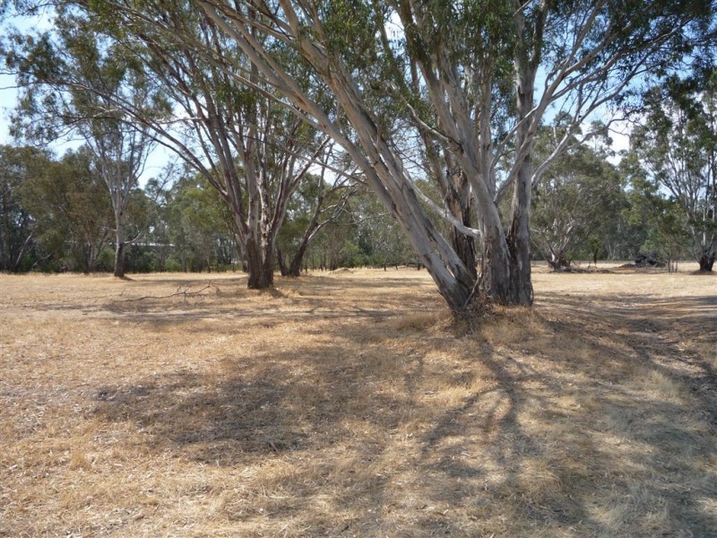 12 PHILLIPS COURT, St Arnaud VIC 3478