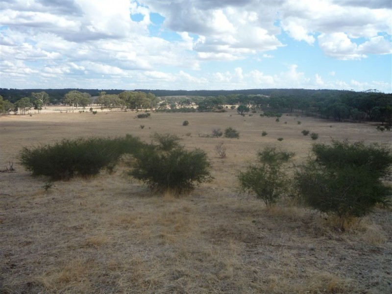 51 Tayton Road, St Arnaud VIC 3478