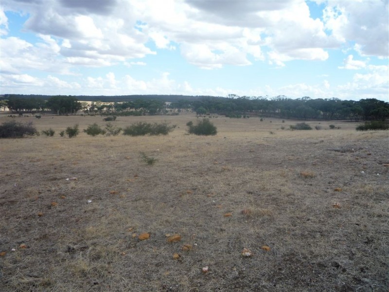 51 Tayton Road, St Arnaud VIC 3478