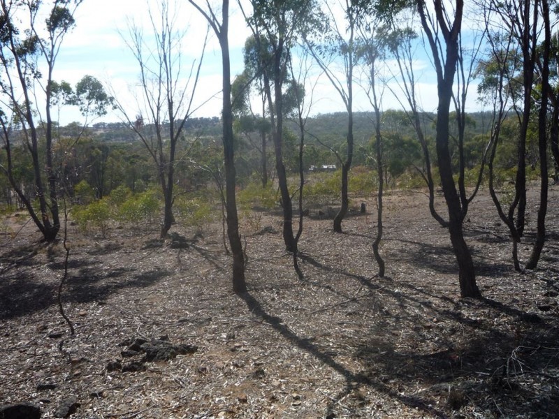 48 McDonald Road, St Arnaud VIC 3478