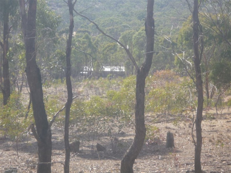 48 McDonald Road, St Arnaud VIC 3478