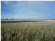 - Bendigo St.Arnaud Road, Logan VIC 3475