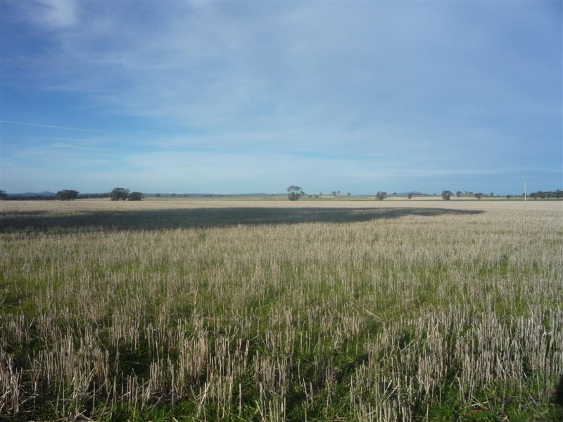 - Bendigo St.Arnaud Road, Logan VIC 3475