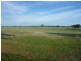 - Bendigo St.Arnaud Road, Logan VIC 3475
