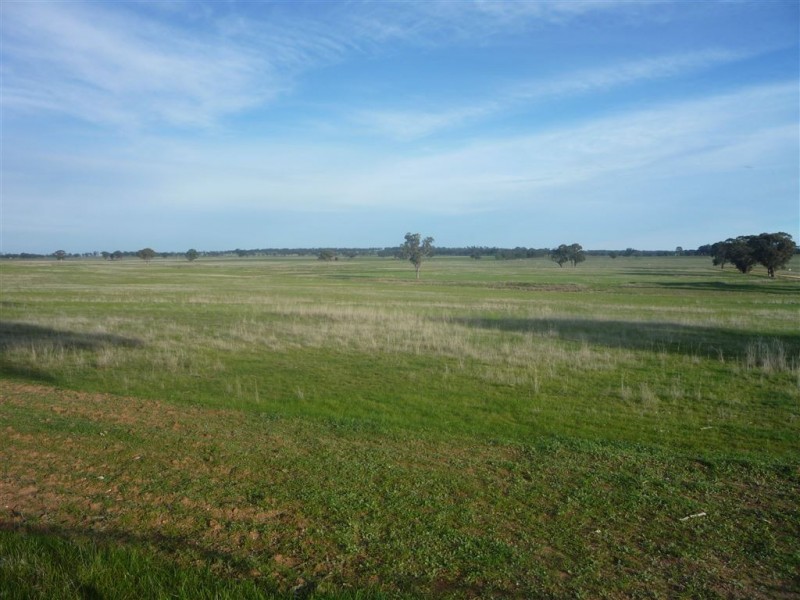 - Bendigo St.Arnaud Road, Logan VIC 3475