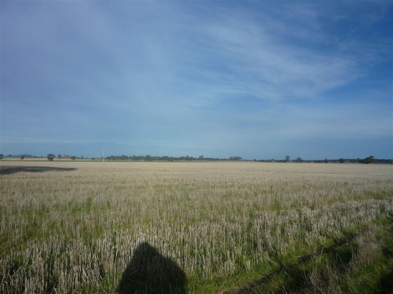 - Bendigo St.Arnaud Road, Logan VIC 3475