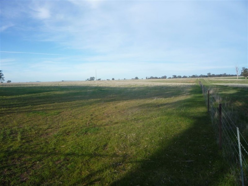- Bendigo St.Arnaud Road, Logan VIC 3475